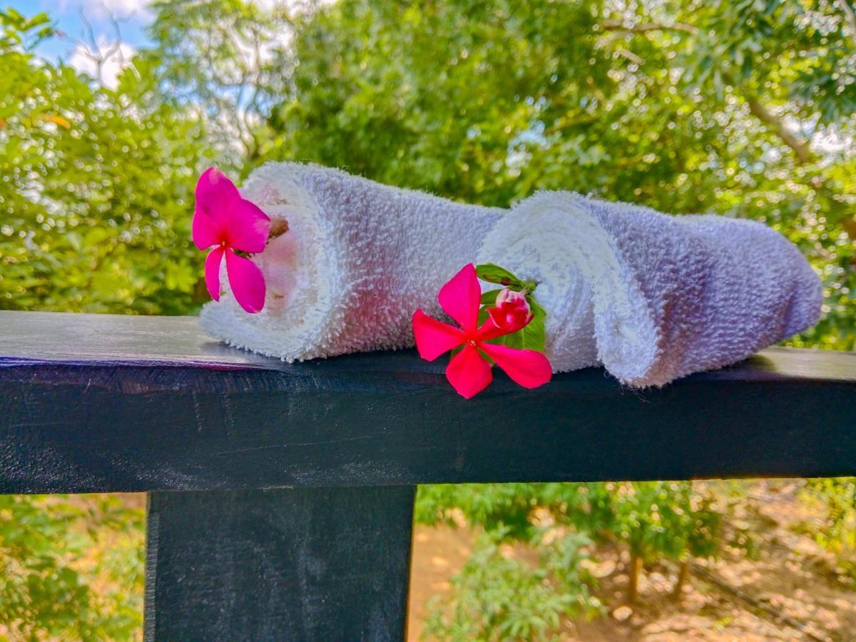 Ceylon Amigos Eco Resort Сигирия Екстериор снимка