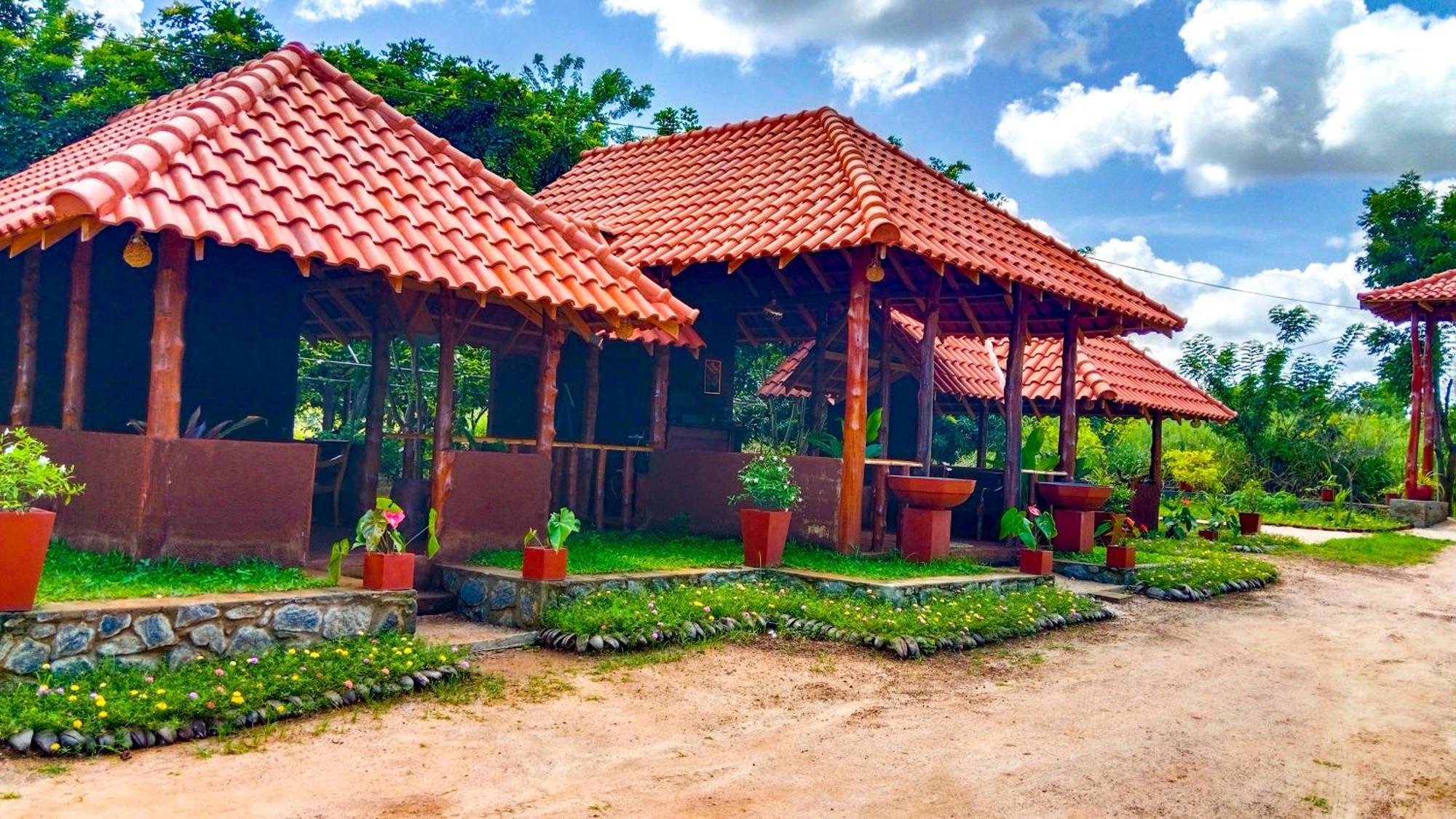 Ceylon Amigos Eco Resort Сигирия Екстериор снимка