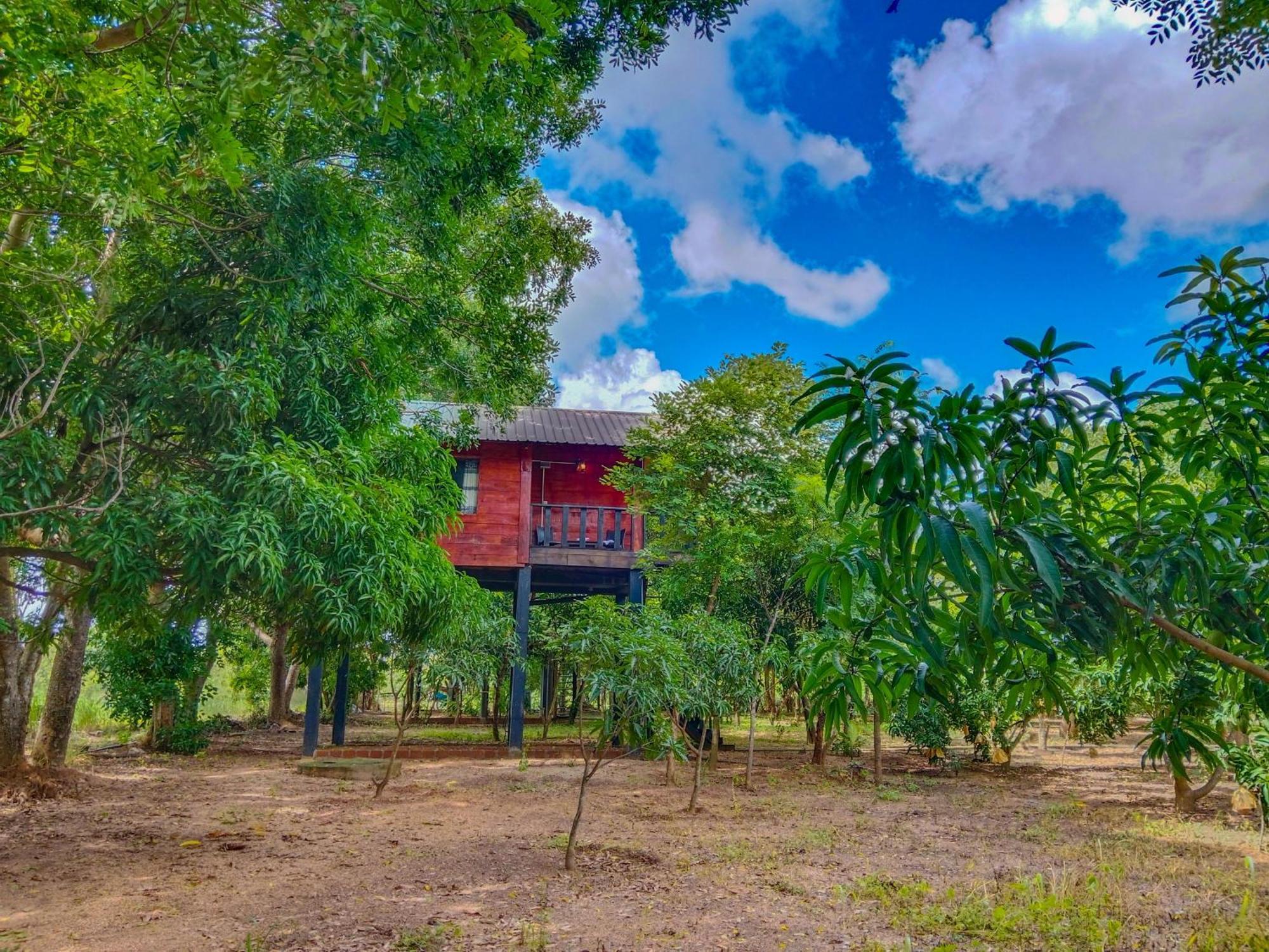 Ceylon Amigos Eco Resort Сигирия Екстериор снимка