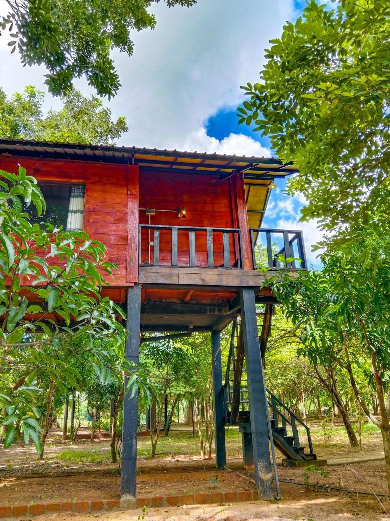 Ceylon Amigos Eco Resort Сигирия Екстериор снимка