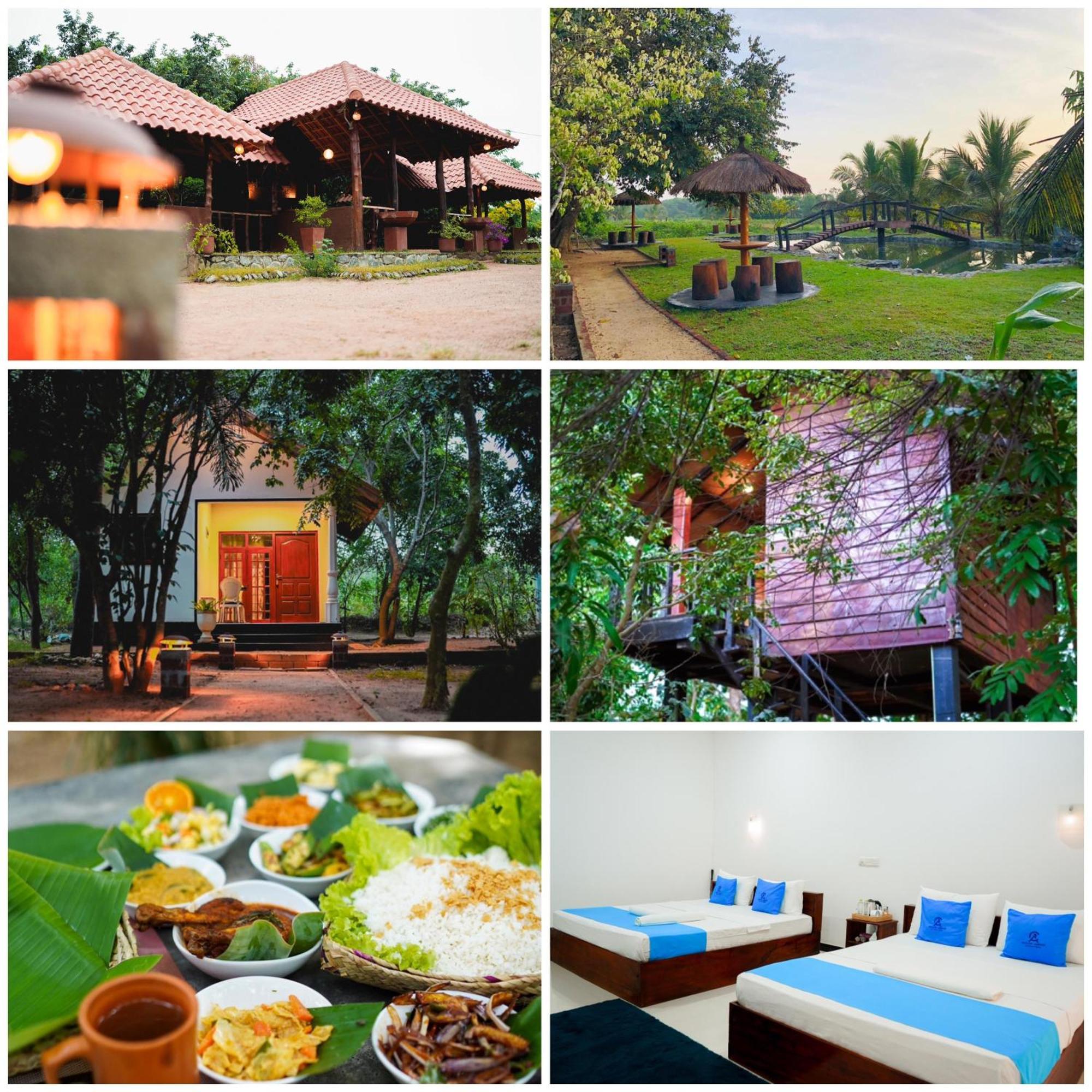 Ceylon Amigos Eco Resort Сигирия Екстериор снимка